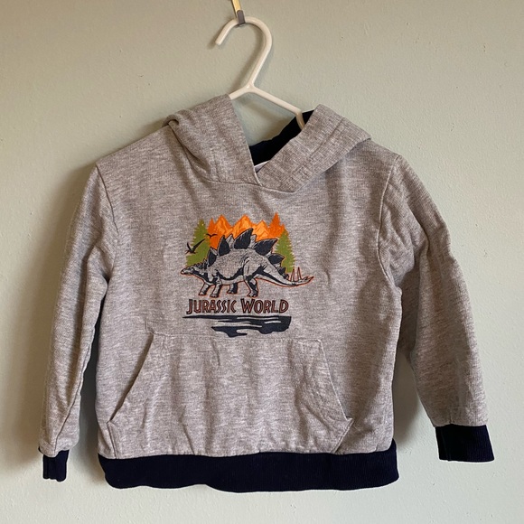 Kids Jurassic world hoodie - Picture 1 of 9